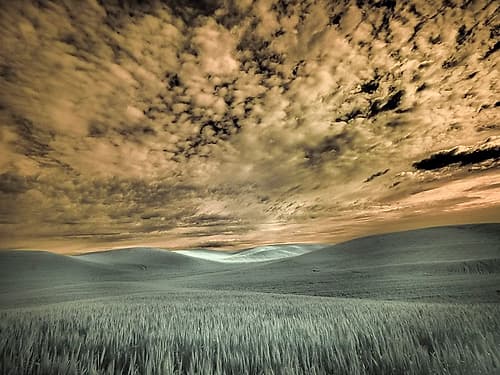 USA-Washington State-Palouse-wheat field and clouds Art Print